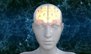 human-5937759_1280